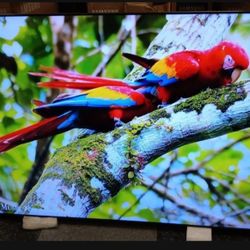SAMSUNG 85"INCH QLED 4K Q80D 