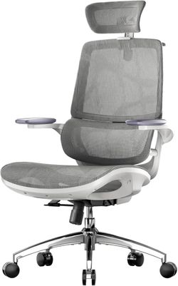 Sihoo M59AS Office Chair - Like New!