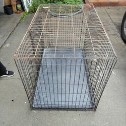 Dog 🦝Cage XXL 