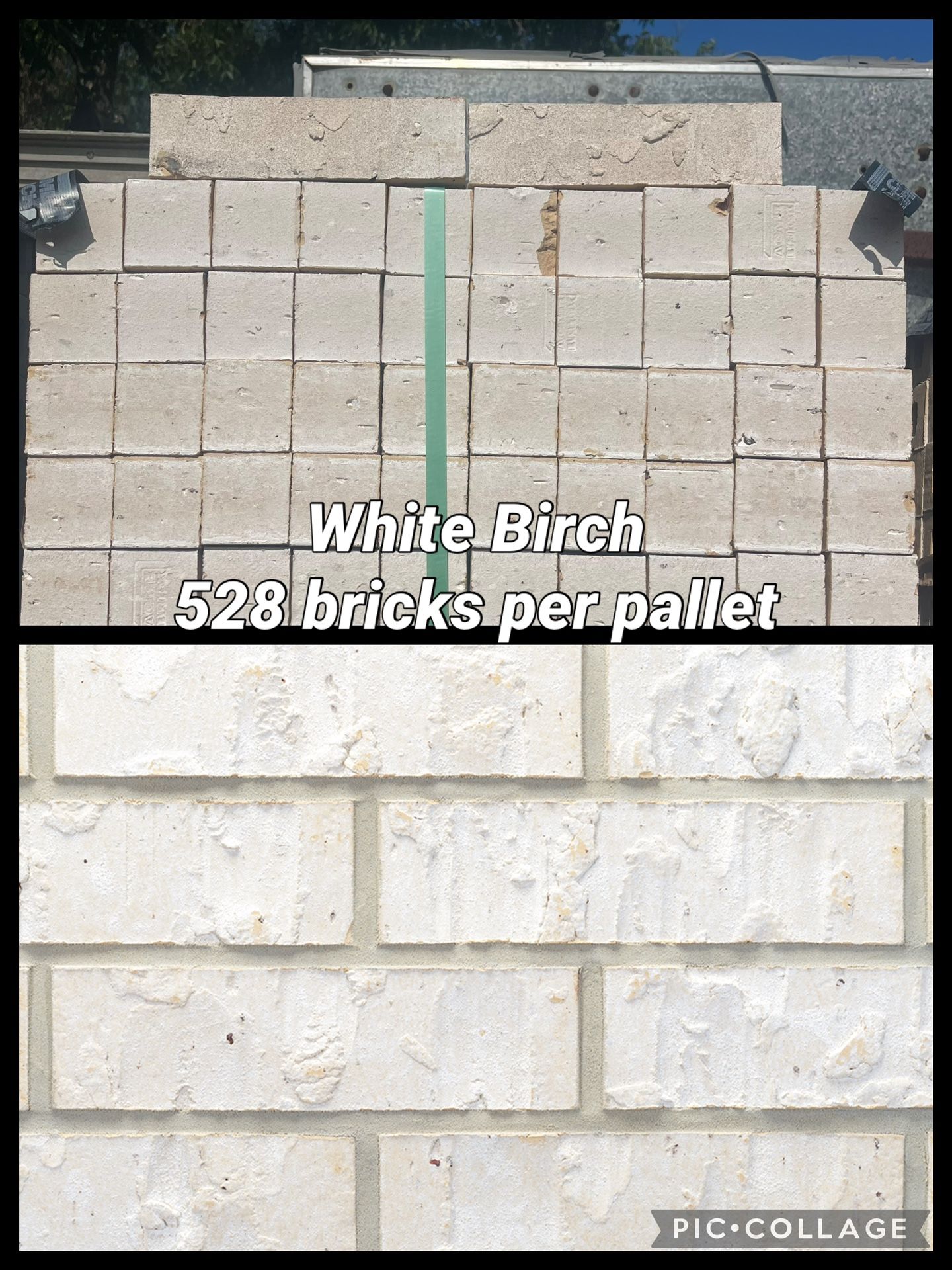 Acme Brick White Birch - Ladrillo - Tabique