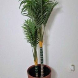 *** NEW LOW PRICE *** 5ft Faux Golden Cane Palm in a 22in Sienna Resin Planter @ Lasting Creations