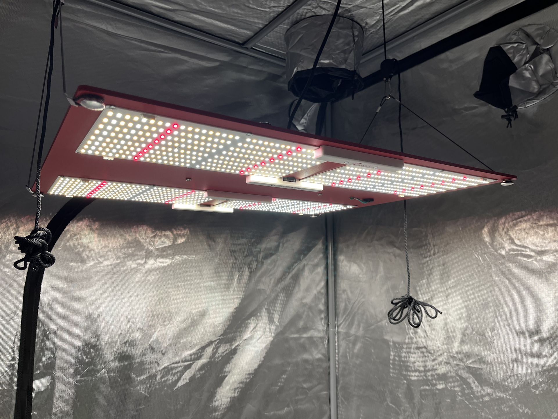 HLG 600 rspec LED grow light