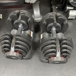 Generic Bowflex 1090 Adjustable Dumbbells 10 Lbs To 90 Lbs