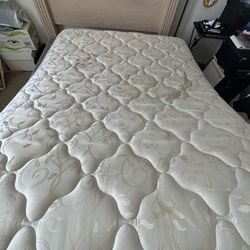 Full Size Bed