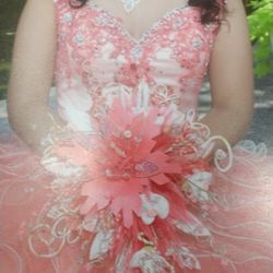 Quincenera dress