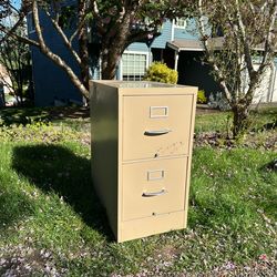 FREE 2-drawer metal file cabinet