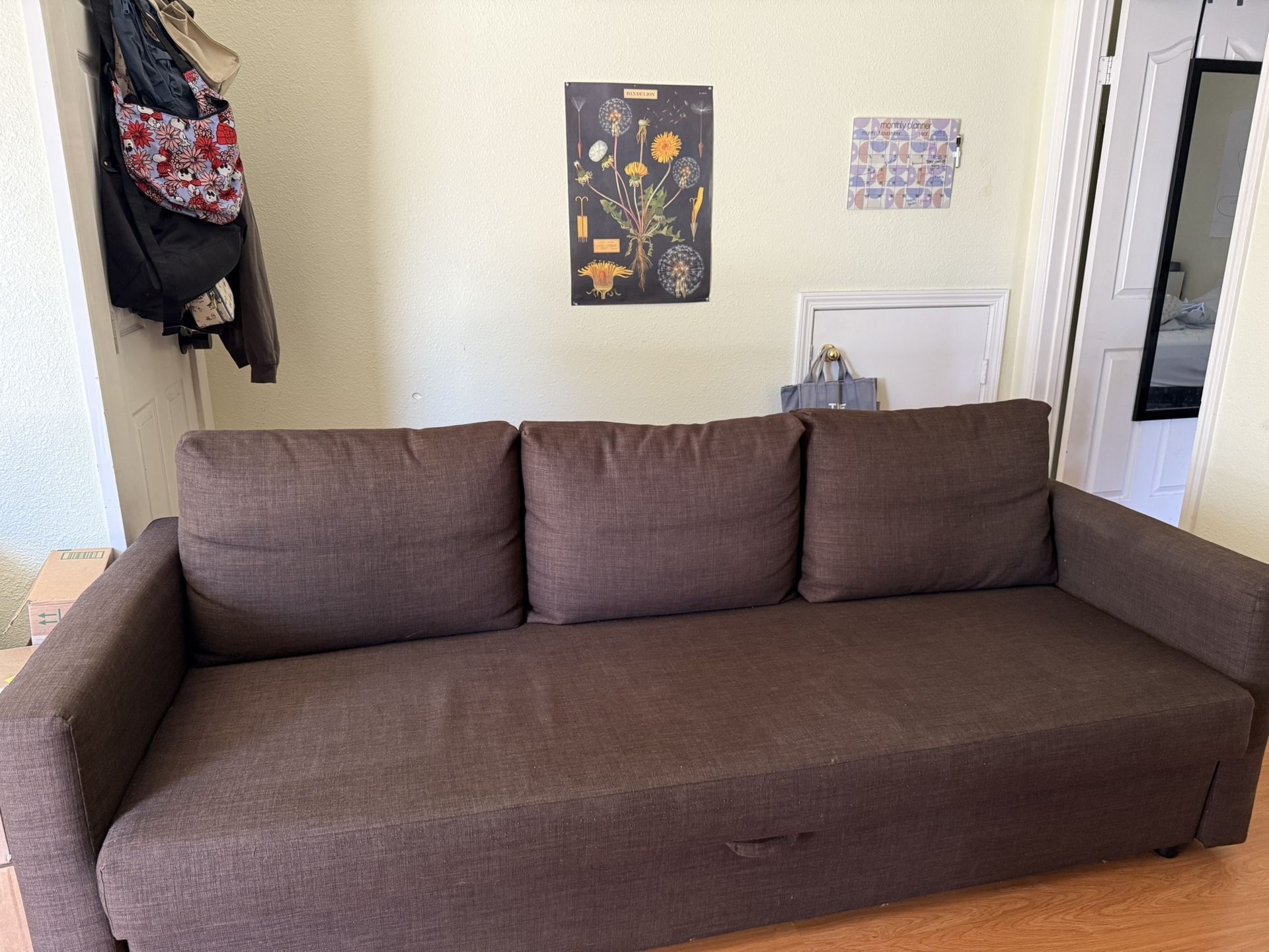 Sleeper Sofa 