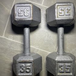 Dumbbells And Bench 