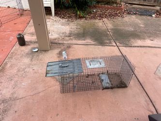 Free - Large mammal trap?