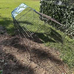 Chicken Run / Pen 