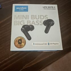 Brand Never Opened Bluetooth Ear Buds