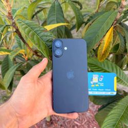 iPhone 16 