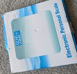 Electronic personal scale