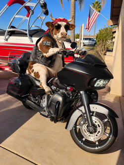 2015 Harley-Davidson Road Glide Special