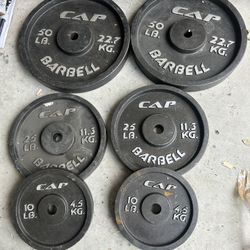 Complete set of 50,25 and 10lb iron plates 1 inch hole $160  