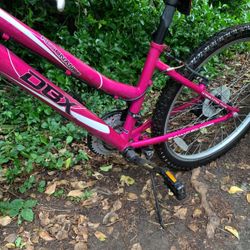 DBX Women’s Mountain Bike