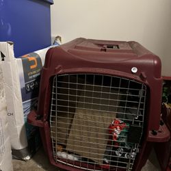 Dog Kennel