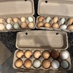 Farm Fresh Eggs 