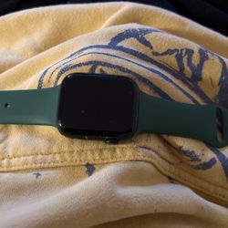 Apple Watch Series 7 45mm Band 