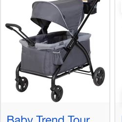Baby Trend Wagon 