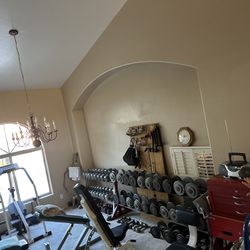 Free Weights