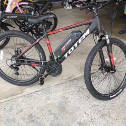 Electric Bicycle