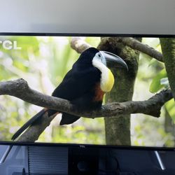 49” Roku TV