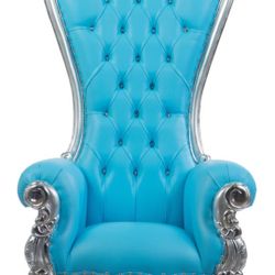 Baby Blue And Silver Throne Chair