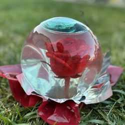 Glass Rose In Water 