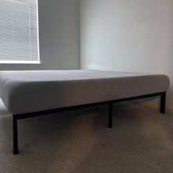 Bed And Couches