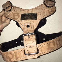 Pitbull Harness 