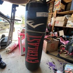 Everlasting Punching Bag.
