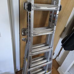 Gorilla 22ft Ladder