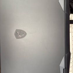 MSI GE66 Rider Gaming Laptop