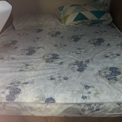 I’m Looking For: 10inch Short Queen (RV Camper)