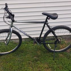 Raleigh M 40 Mountain Bike 