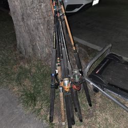 Fishing Rods
