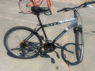 Raider Mountain bike