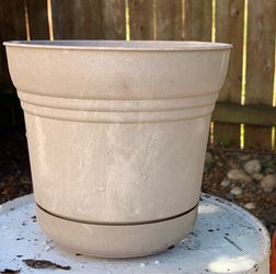 Plastic plant pot 6 inch