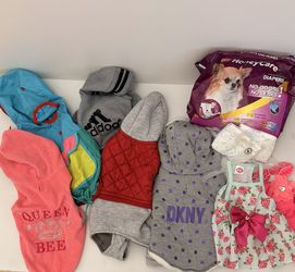 Dog Clothing Lot