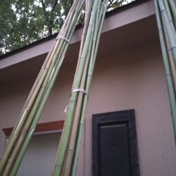 Bamboo Sticks $2 Each  
