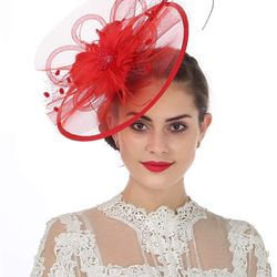 Fascinator Hat Women's Cocktail Wedding Tea Party/ Races Mesh Feather Headpiece