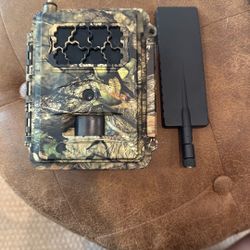 GoCam—Tree Camo—Wildlife camera.
