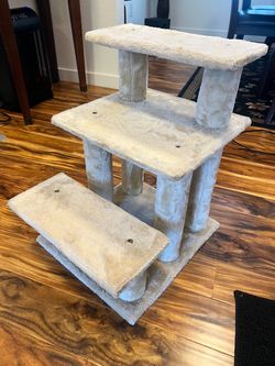 Pet steps