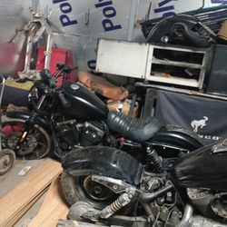 No Title 2022 Harley Sportster Iron 1200