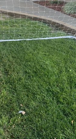 Soccer Goal