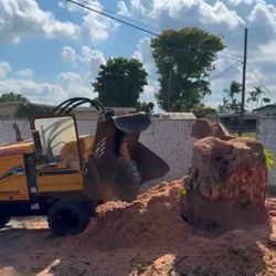 Stump Grinding 
