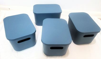 Storage bins with lids