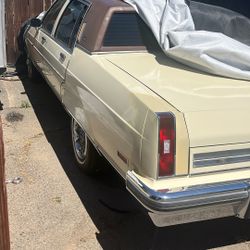 1984 Old Regency