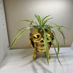 Skull Planters! Plant Pot Gold . 7”X5” Made Of Resin  plant, not included